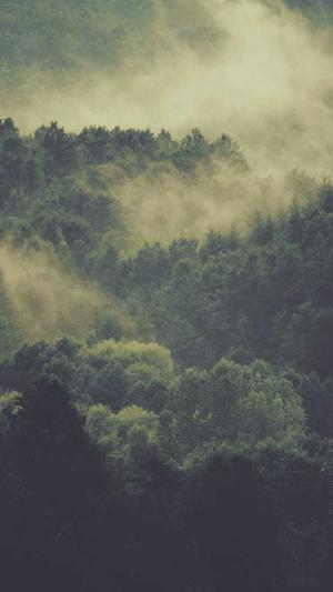 做泛目录需要什么资源截图3