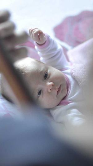 泛目录优化网站截图2