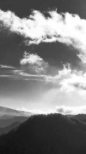 徐州seo优化截图2