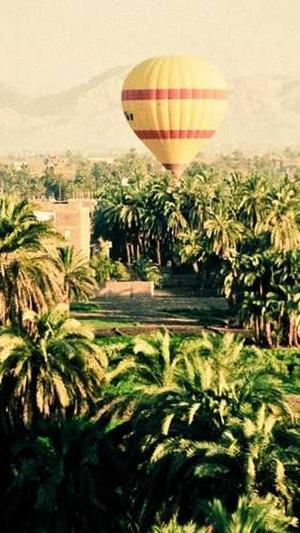 seo经理seo常用工具截图1