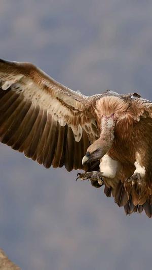 超级蜘蛛池怎么样截图2