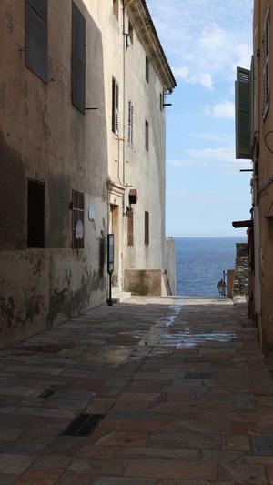 蜘蛛池提高网站权重截图2