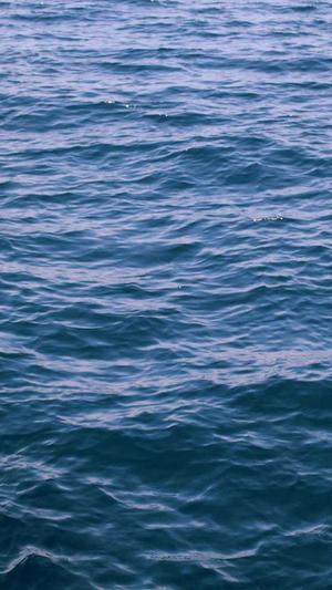 本地的上海网站建设公司截图1