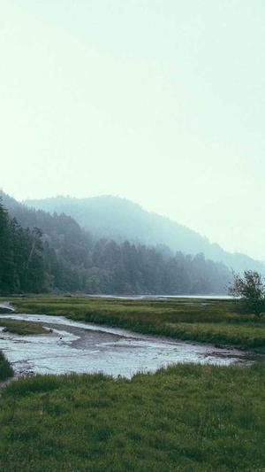 seo建模工具截图2