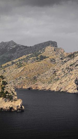 泛目录站群源码截图2