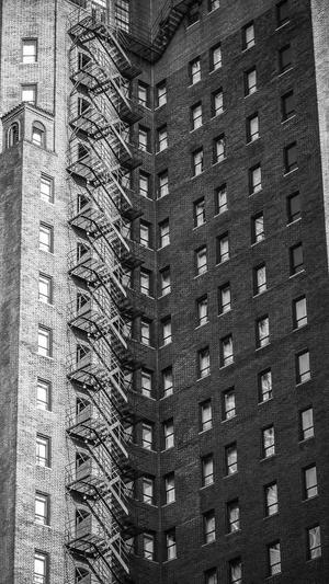 蜘蛛池免费版截图5