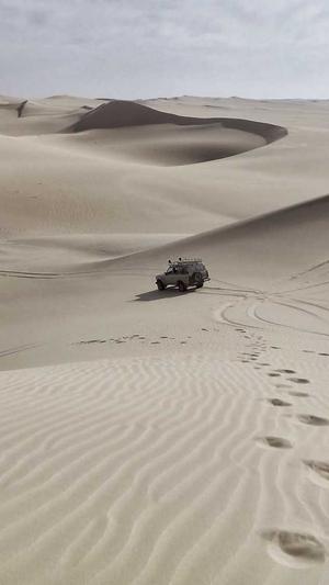 网站泛目录是什么截图5