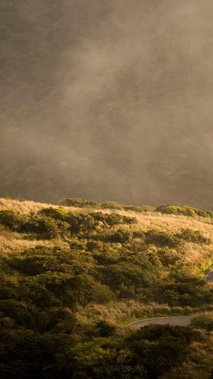 句容网站建设截图4