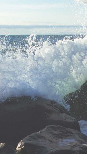 seo培训教程泛目录推广截图2