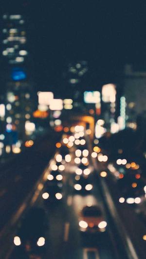 蜘蛛池和泛目录的区别截图3