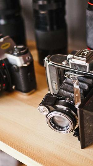 谷歌seo查询工具截图1