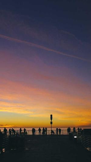 谷歌seo查询工具截图3