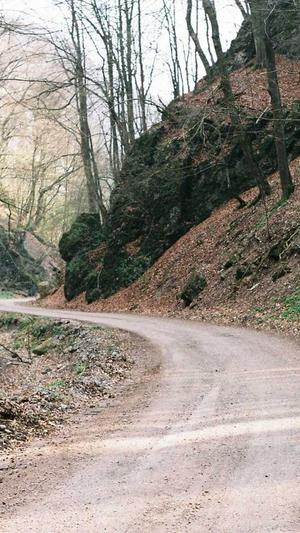 小霸王蜘蛛池v6.3截图3