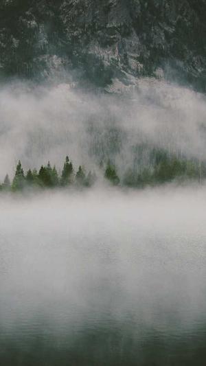 简单seo工具代发帖子截图1