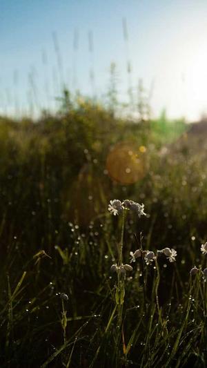建设一个网站截图1