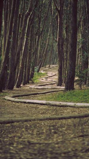 网站建设心得截图4