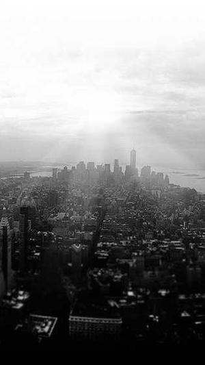 搜狗蜘蛛池程序打不开截图2