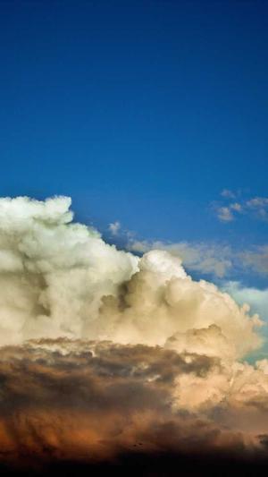 谁有蜘蛛池出租截图1