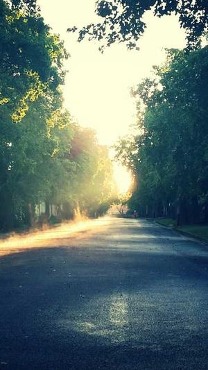 蜘蛛池有什么用呢截图1