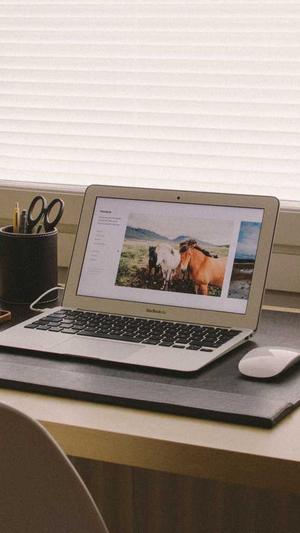 官网seo优化工具截图1