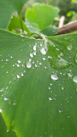 开县网站建设截图3