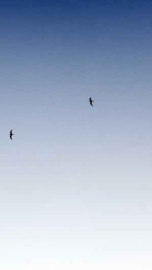 无锡网站建设截图1