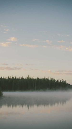珠海网站建设截图2