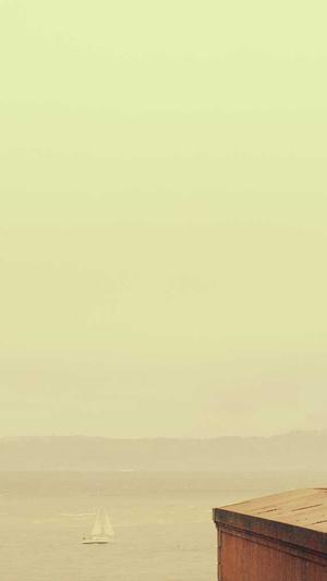 本地网站建设截图4