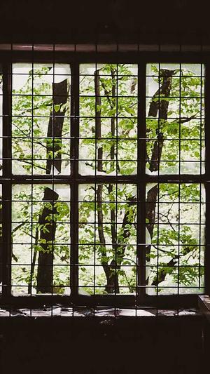 泛站和蜘蛛池截图2