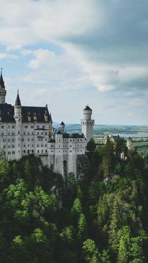 蜘蛛池要用多少模板截图1