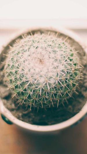 seo工具优化包截图2