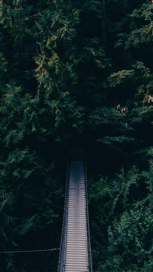 360网站seo手机优化软件截图3