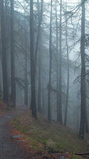 百度seo关键词排名截图2