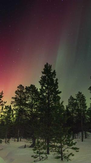 黑帽seo工具灰色推广截图4