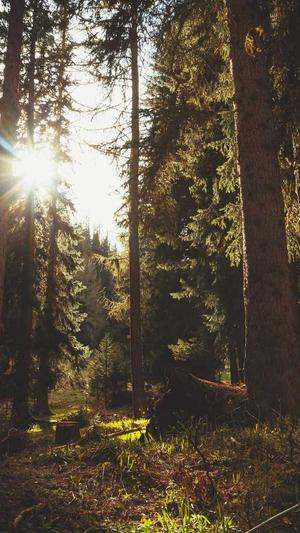 百度seo关键词排名截图3