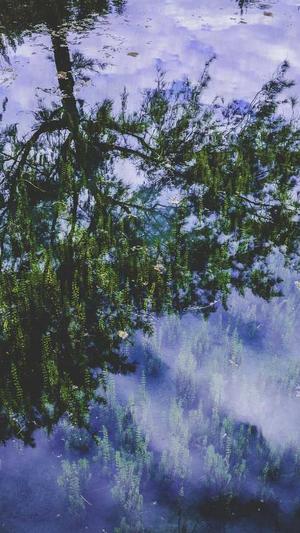 住房城乡建设网站官网截图3