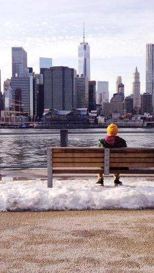 Seo优化工具截图5