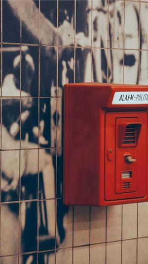 头条蜘蛛池租用截图3