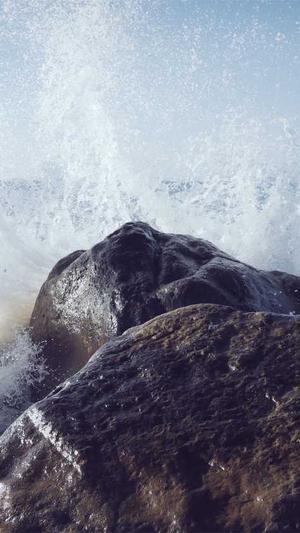 seo蜘蛛池教程截图3