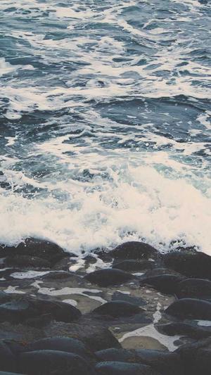 襄阳网站建设截图3