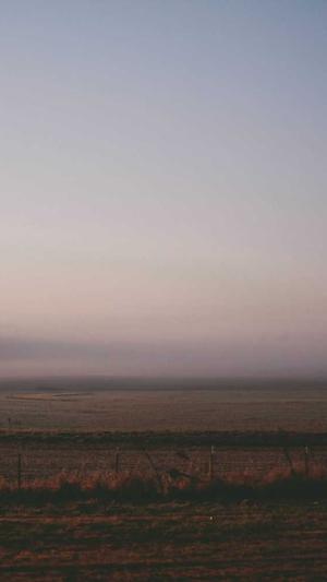 seo优化推广工具截图3