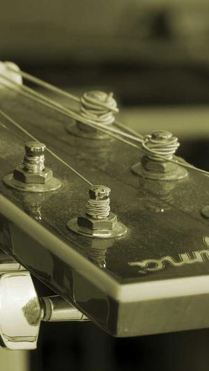 seo经理seo常用工具截图5