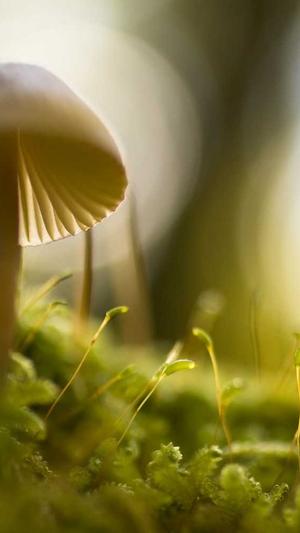 seo优化常用工具有哪些截图1