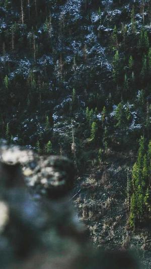 蜘蛛池使用视频截图2