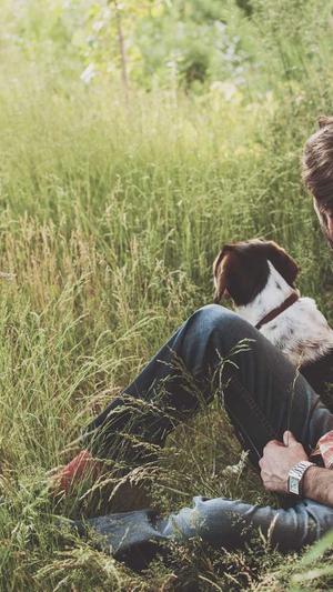 网排名工具seo截图3