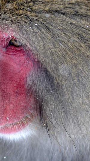 青岛网站seo诊断工具截图1