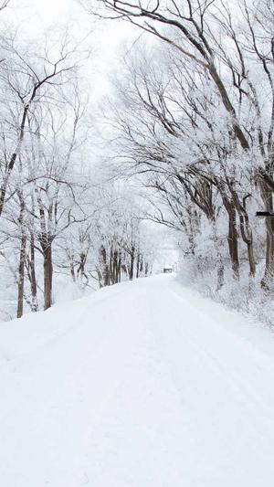 无限繁殖泛目录截图2