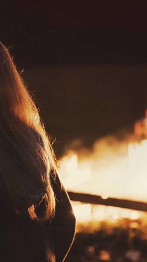 酒店网站建设截图3