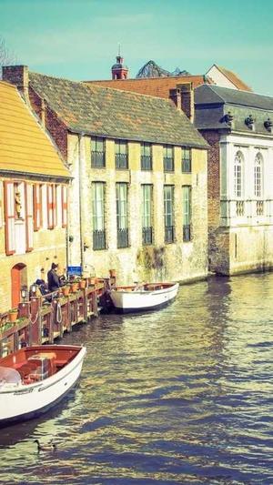 河南新站seo优化工具截图4