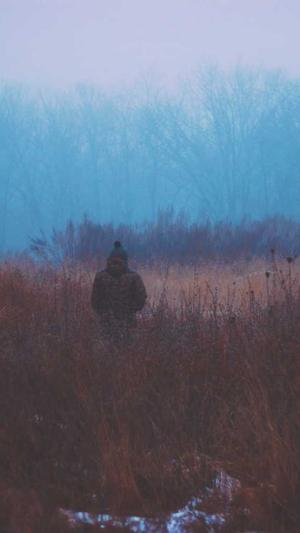 潍坊网站建设截图2